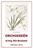 Oncidium altissimum ORCHIDEEËN. Kring NO-Brabant