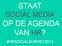 STAAT SOCIAL MEDIA OP DE AGENDA VAN HR? #HRSOCIALSURVEY2013