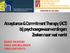 Acceptance &CommitmentTherapy (ACT) SASKIA TALBOOM EMILE VAN BELLINGEN JORIS CORTHOUTS. bij psychosegewaarwordingen: Zoeken naar wat werkt