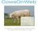 Smartfarming - geoptimaliseerde rundveehouderij met respect voor dierenwelzijn en natuur