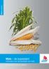 Maïsbemesting. Maïs de superplant Informatie over het bemesten van maïs. De competentie in Kalium en Magnesium
