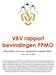 VBV rapport bevindingen PPMO