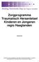 Zorgprogramma Traumatisch Hersenletsel Kinderen en Jongeren regio Haaglanden 25 april 2018