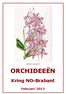 Barkeria spectabilis ORCHIDEEËN. Kring NO-Brabant