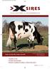 Lientje: Lien (Scan Rb) x Swamo Jaron (HF) YOUR PARTNER IN CROSSBREEDING