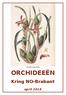 Maxillaria tenuifolia ORCHIDEEËN. Kring NO-Brabant