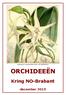 Angraecum sesquipidale (Ster van Bethlehem) ORCHIDEEËN. Kring NO-Brabant