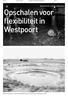 Opschalen voor flexibiliteit in Westpoort