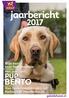 jaarbericht BENTO PUP Blije bazen over hun maatjes Het jaar van Van Speurneuzenteam tot Halloween Hondentocht geleidehond.nl
