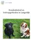 Hondenbeleid en losloopgebieden in Langedijk