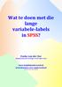 Wat te doen met die lange variabele- labels in SPSS?