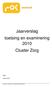 Jaarverslag toetsing en examinering 2010 Cluster Zorg