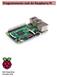 Programmeren met de Raspberry Pi