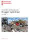 Concept Nota van Uitgangspunten. Bruggen Vijzelstraat. Juni 2016