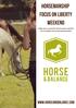 Horsemanship Focus on Liberty weekend