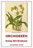 Dendrobium macrophyllum ORCHIDEEËN. Kring NO-Brabant