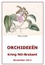 Cattleya aclandiae ORCHIDEEËN. Kring NO-Brabant