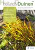 De mossen van Meijendel. Flora-ontwikkeling Kikkervalleien Groenknolorchis in Berkheide. Tapuiten en dioxine