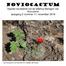 NOVIOCACTUM. Digitale nieuwsbrief van de afdeling Nijmegen van Succulenta Jaargang 3 nummer 11, november 2018