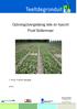 Opbrengstvergelijking lelie en hyacint Proef Bollenmeer