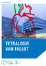 INFO VOOR PATIËNTEN TETRALOGIE VAN FALLOT