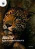 JAGUARTOP. Rapport voor Contribute Foundation FY18. Be one with nature. JaguarTop
