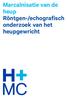Marcaïnisatie van de heup Röntgen-/echografisch onderzoek van het heupgewricht