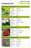 VOORRAADLIJST. Alchemilla mollis - Vrouwenmantel. Anemone Honorine Jobert - Herfstanemoon. Astilbe Arendsii astary Red - Pluim Spirea