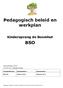 Pedagogisch beleid en werkplan BSO