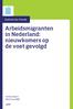 Titel Arbeidsmigranten in Nederland: nieuwkomers op. de voet gevolgd. Statistische Trends. Subtitel. In samenwerking met Partner