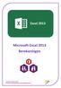Microsoft Excel 2013 Berekeningen