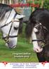 Hengsten/stallion brochure 2019