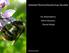 357 soorten wilde bijen in Nederland. Wereldwijd c. 20,000 soorten