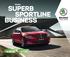 SUPERB SPORTLINE BUSINESS