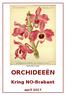 Dendrobium nobile ORCHIDEEËN. Kring NO-Brabant