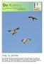 De Konvo. Vlieg- en jachtles. Een uitgave van de KNNV Amersfoort e.o. nr. 51 augustus 2014