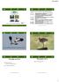 Terugblik op 2014 Resultaten Programma startdag vrijwillige weidevogelbescherming