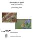 Dagvlinders en libellen onder de meetlat: jaarverslag 2002