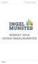 Algemeen directeur: ir. Dominik Ronse Financieel directeur: Tine Dhont BUDGET 2019 OCMW INGELMUNSTER