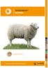 SPREEKBEURT SCHAAP ZOOGDIEREN OVER HOUDEN VAN HUISDIEREN. l a n d e l i j k i n f o r m a t i e c e n t r u m g e z e l s c h a p s d i e r e n