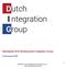 Beleidsplan 2019 Stichting Dutch Integration Group Versie januari 2019