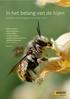 In het belang van de bijen Analyse en advies aangaande wilde bijen in Zeist