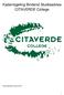 Kaderregeling Bindend Studieadvies CITAVERDE College