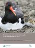Broedsucces van kustbroedvogels in de Waddenzee in 2017